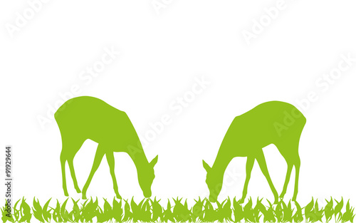 Tiere, Hirsche, Wiese, Hintergrund