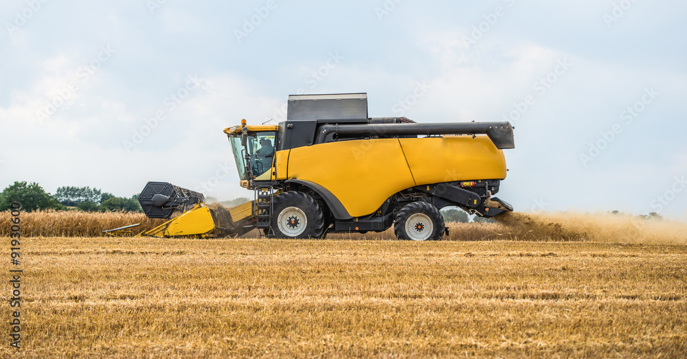 Obraz premium Mähdrescher bei der Ernte eines Getreidefeldes