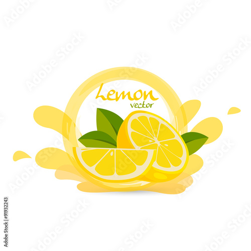 fresh lemon vector