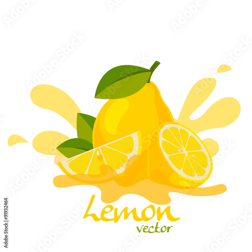 fresh lemon vector