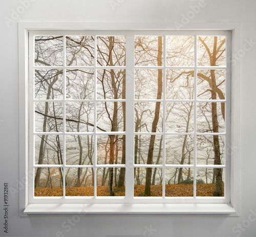 Modern residential window w...