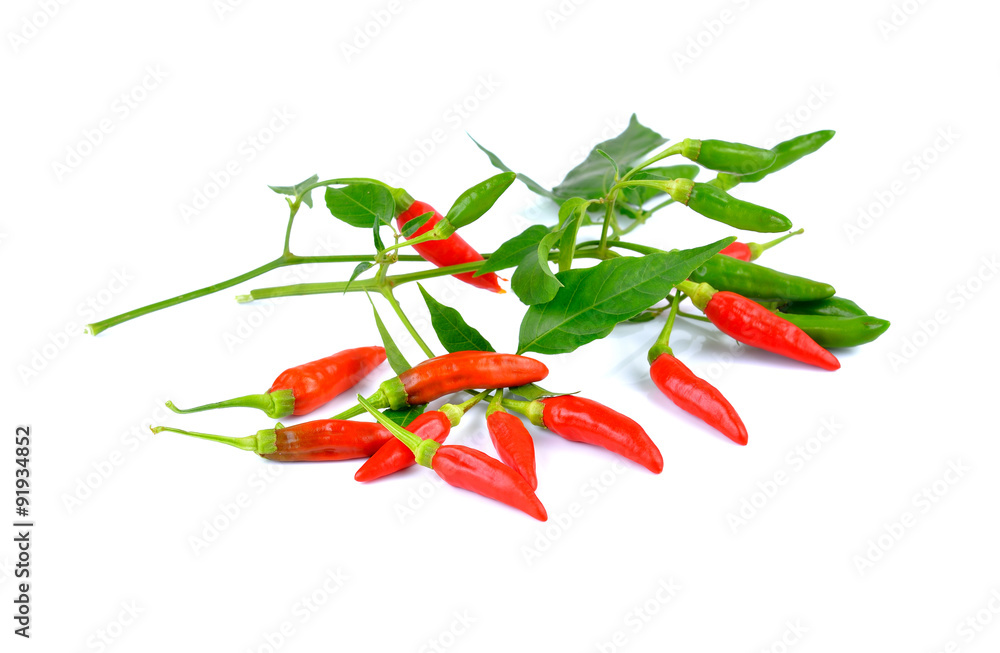 Red hot chili peppers on white background Red hot chili peppers on white background