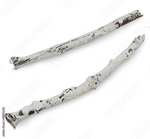 white painted braches isolated on the white background