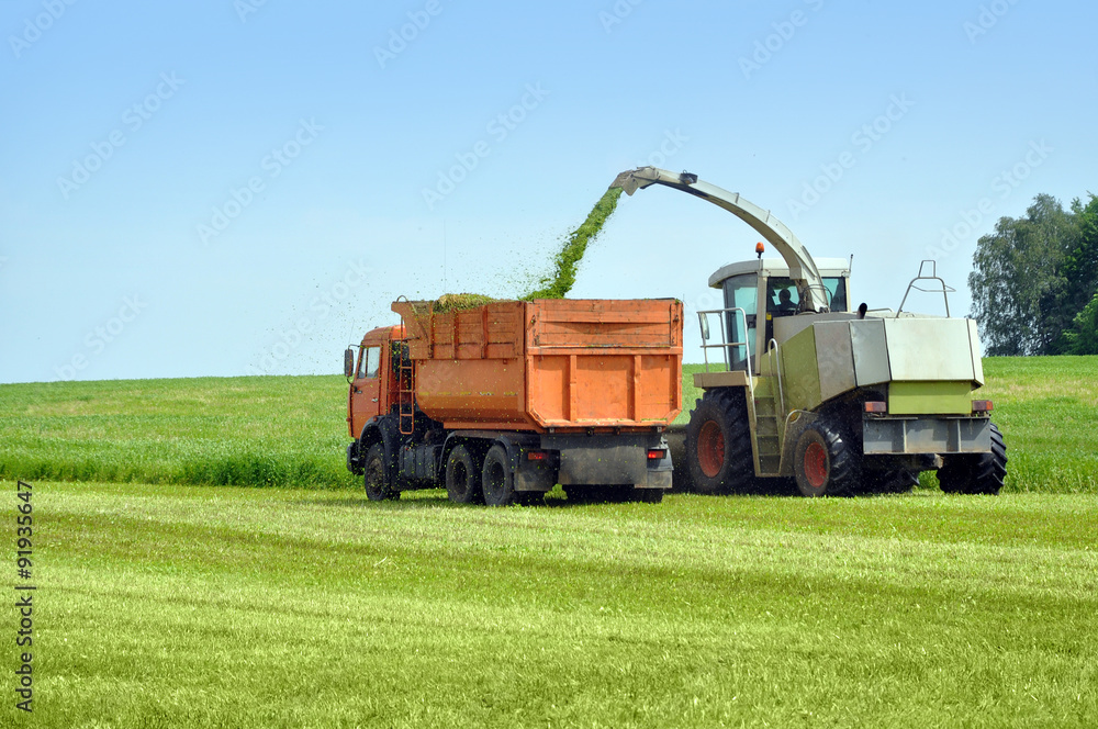 Fototapeta premium Two agricultural cars harvested grass on the field