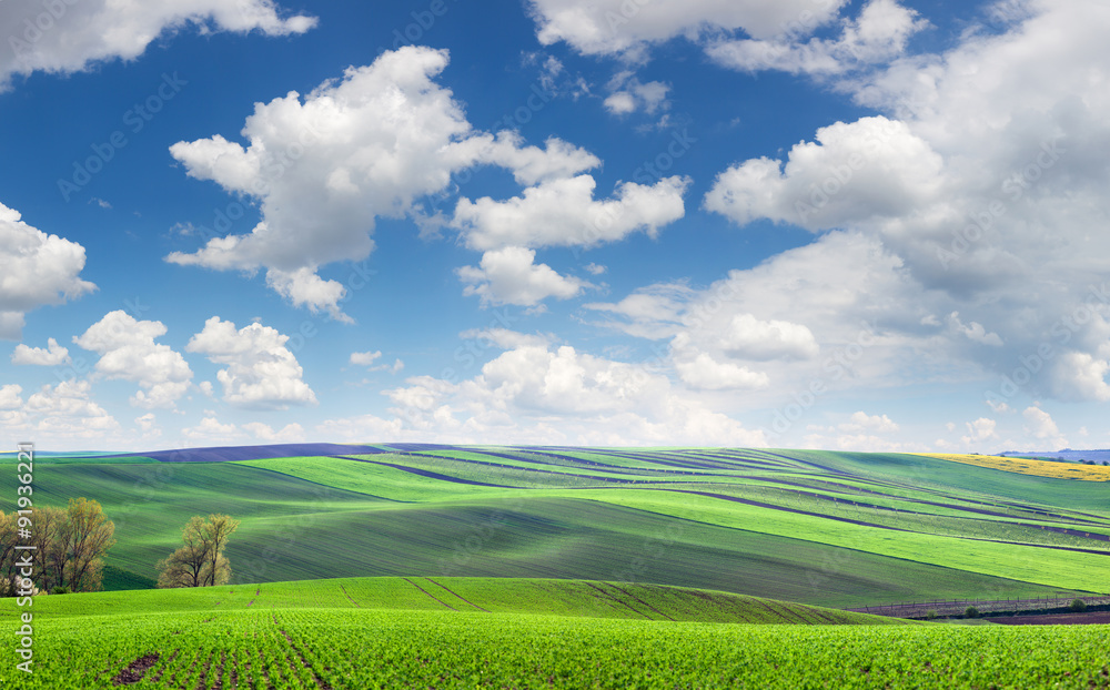 Wonderful panoramic view of fields in beautiful colorful and