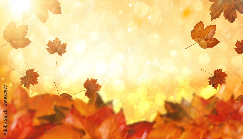 Composite image of autumn leaves Composite image of autumn leaves
