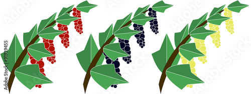 Currant branch with leaves