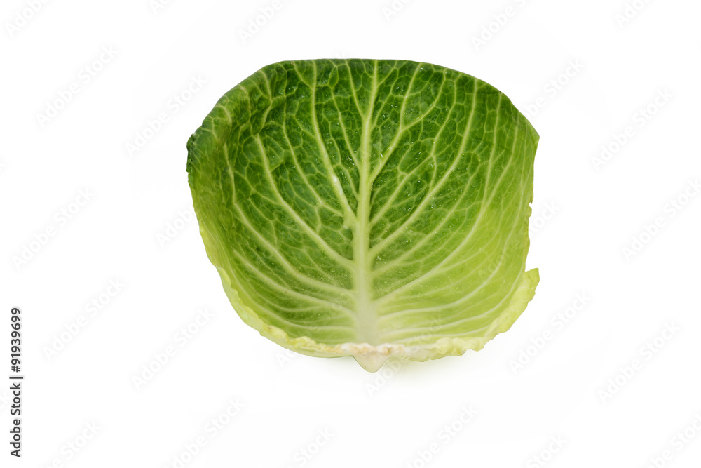 Weißkohl Weißkohl
