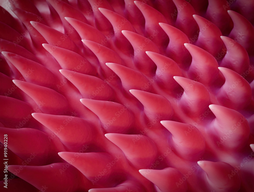Obraz premium SEM style illustration of the tongue surface