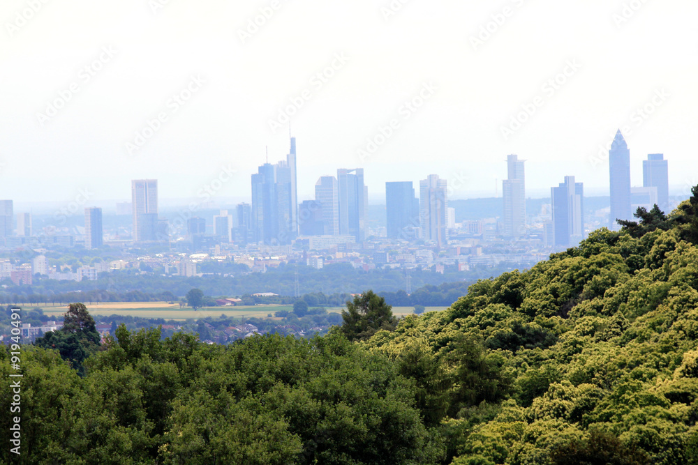 Obraz premium Frankfurt Germany