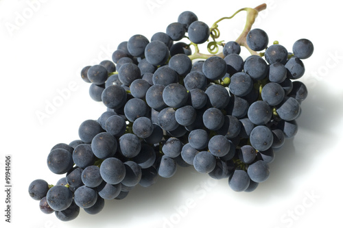 Merlot, Rotweinsorte, Merlot Noir, Bordeaux, Rotwein photo