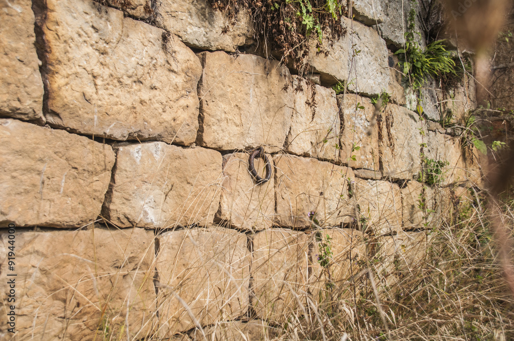 stone wall with a metal ring