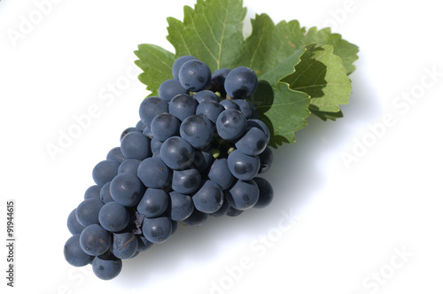 Fotografie Syrah, Rotwein, Rote, Weintrauben, Weintraube,