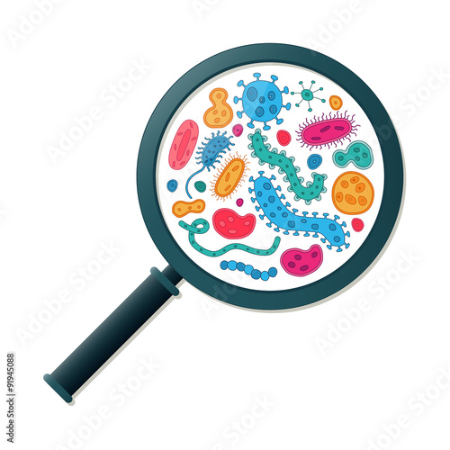 Green, red, pink, orange and blue germs and magnifying glass - Vector illustration