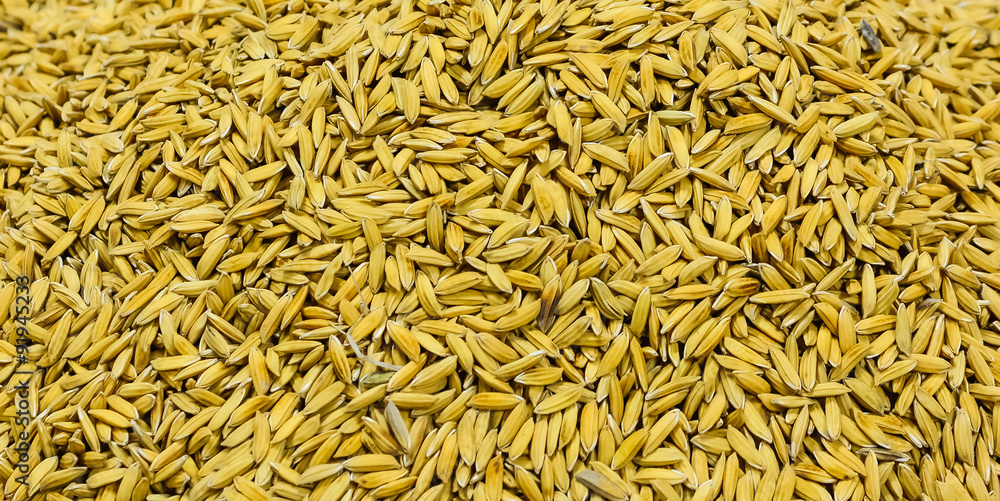 close up shot of brown raw rice texture .