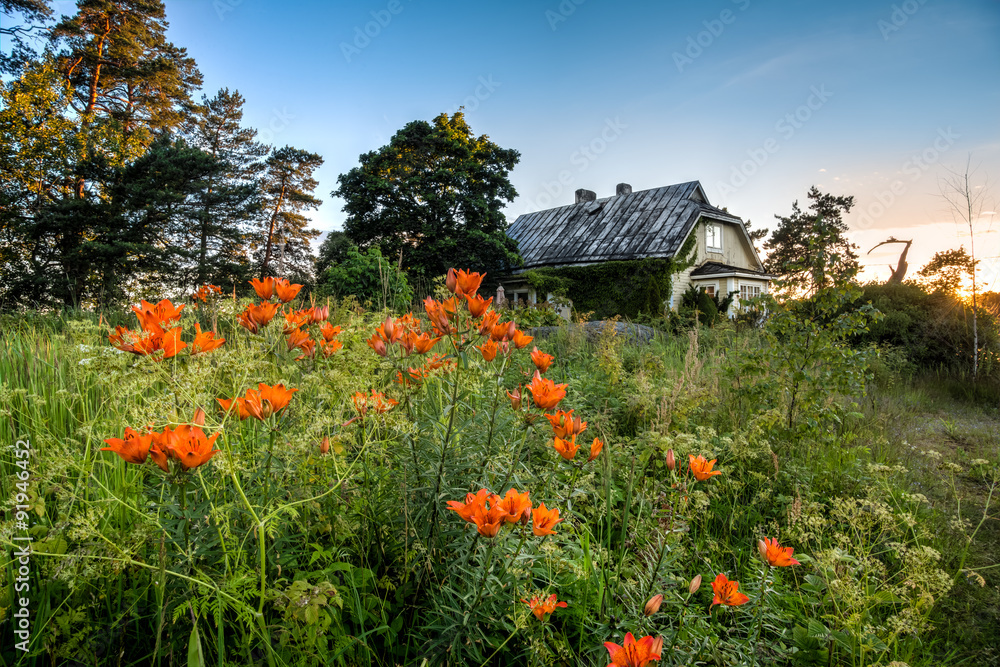 deserted house on summer sun set