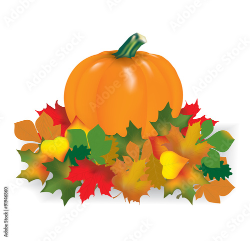 Orange pumpkin in autumn leaves