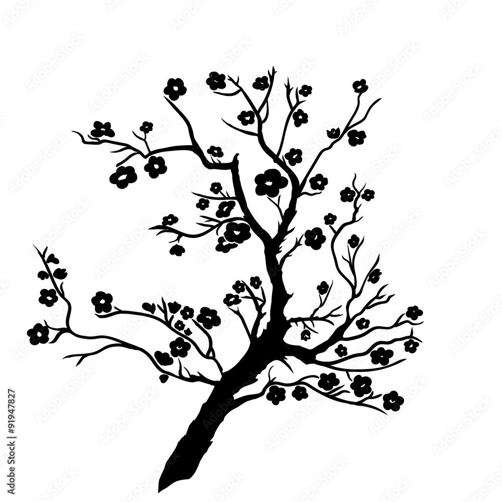 Fototapeta premium twig plum mei blossoms