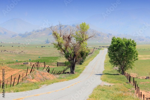 California countryside - Yokohl Drive photo