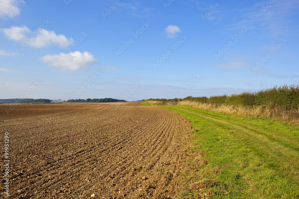 bridleway and plowed field