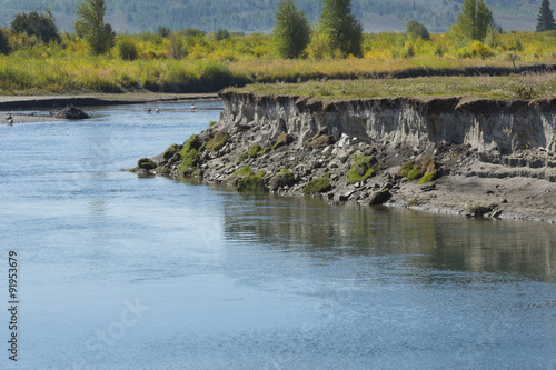Obraz na plátně Bank erosion on the Buffalo Fork River, Moran, Wyoming.
