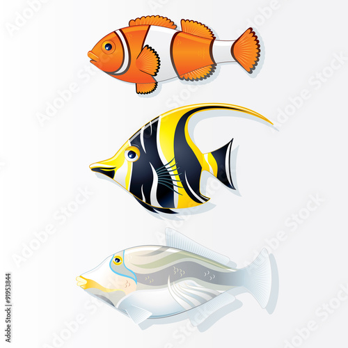 Tropical Reef Fishes. Vector Collection