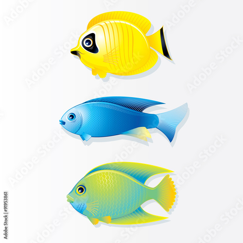 Cartoon Coral reef Fish. Vector Image