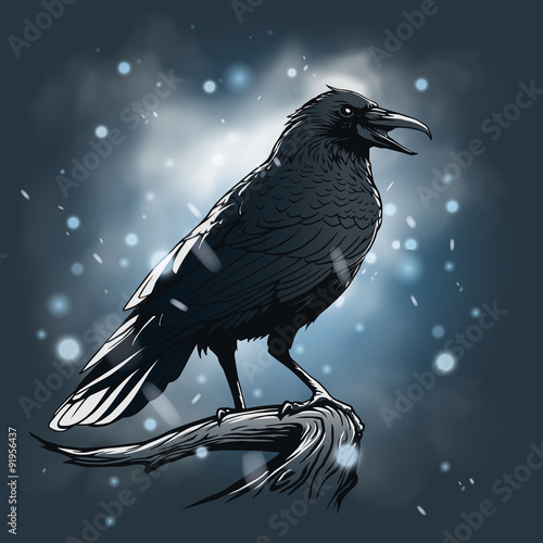 Raven illustration