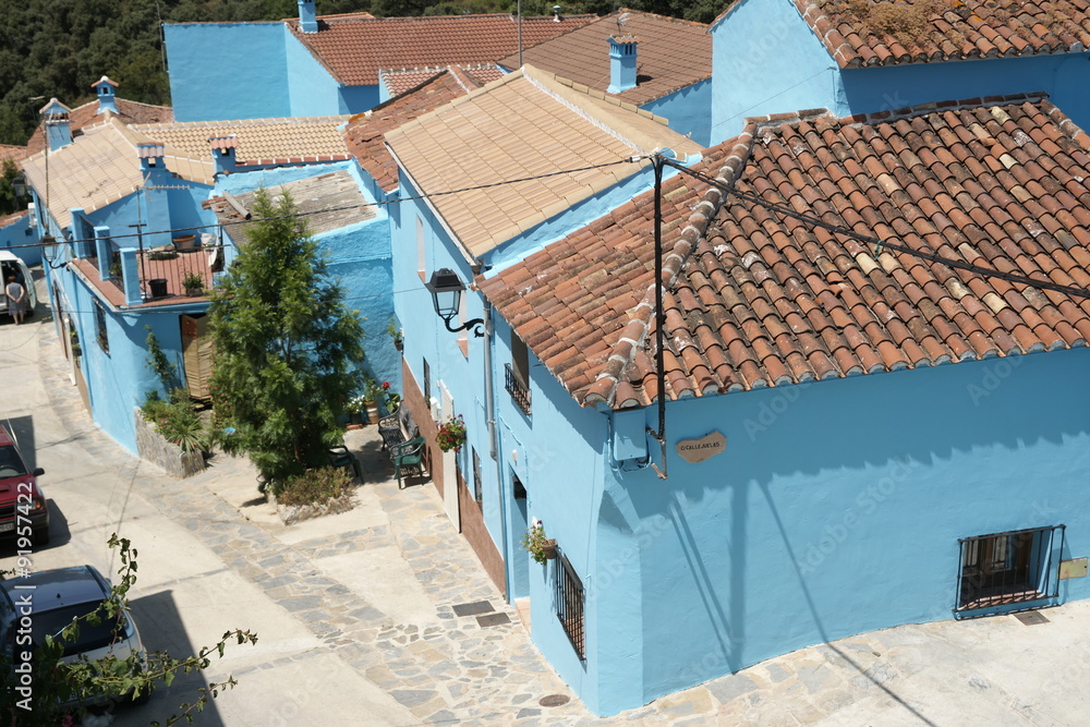 Fototapeta premium Júzcar el pueblo azul de Málaga, Andalucía