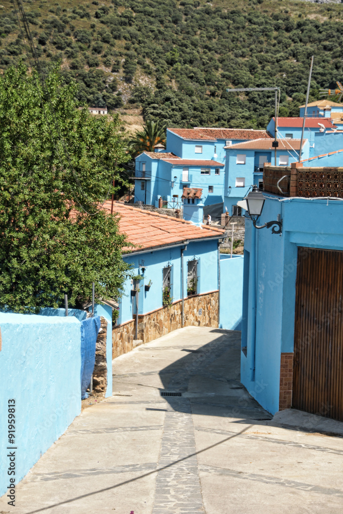 Fototapeta premium Pueblos de la provincia de Málaga, Júzcar el pueblo azul