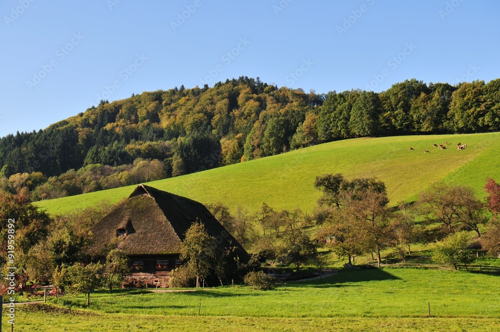 Black Forest Landscape near Glottertal and Freiburg with Flammhof