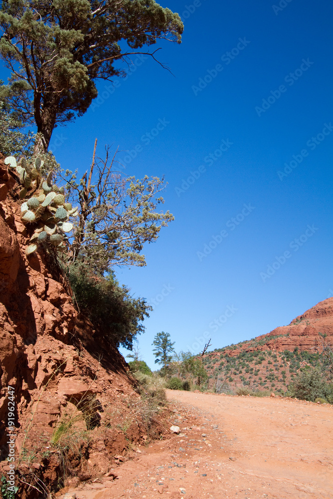 Rough-dirt Schnebly Hill Road runs through red-rock country near Sedona, Arizona Rough-dirt Schnebly Hill Road runs through red-rock country near Sedona, Arizona