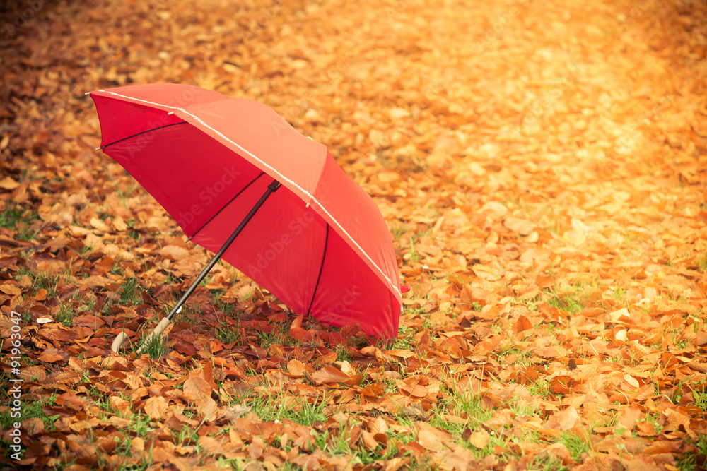 Red umbrella in autumn park on leaves carpet.