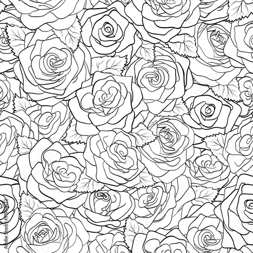 beautiful black and white seamless pattern in roses with contours.