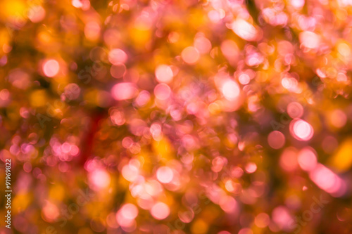 beautiful romantic soft colour pink bokeh for abstract background with fall season feeling