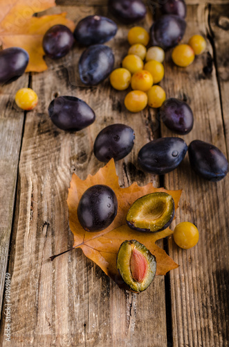 Freshly picked and washed plums