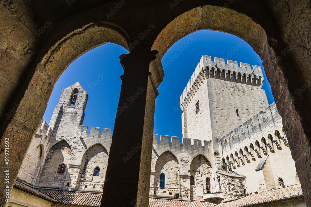 View on Pope's Palace (Palais des Papes) in Avignon, France 