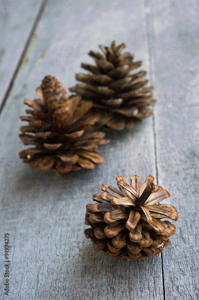 Black pine cones