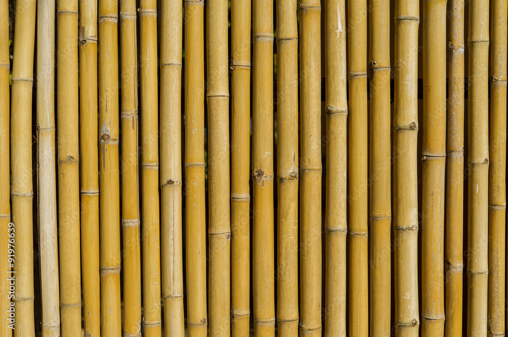 Fototapeta premium Bamboo fence background