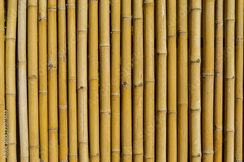 Fototapeta Naklejka Na Ścianę i Meble -  Bamboo fence background