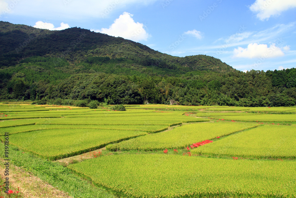田染荘 田染荘