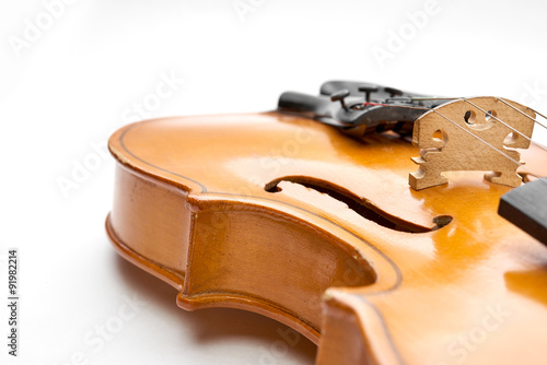 violin on white background