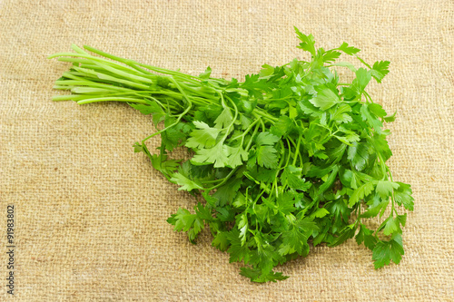 Bunch of parsley on a sackcloth