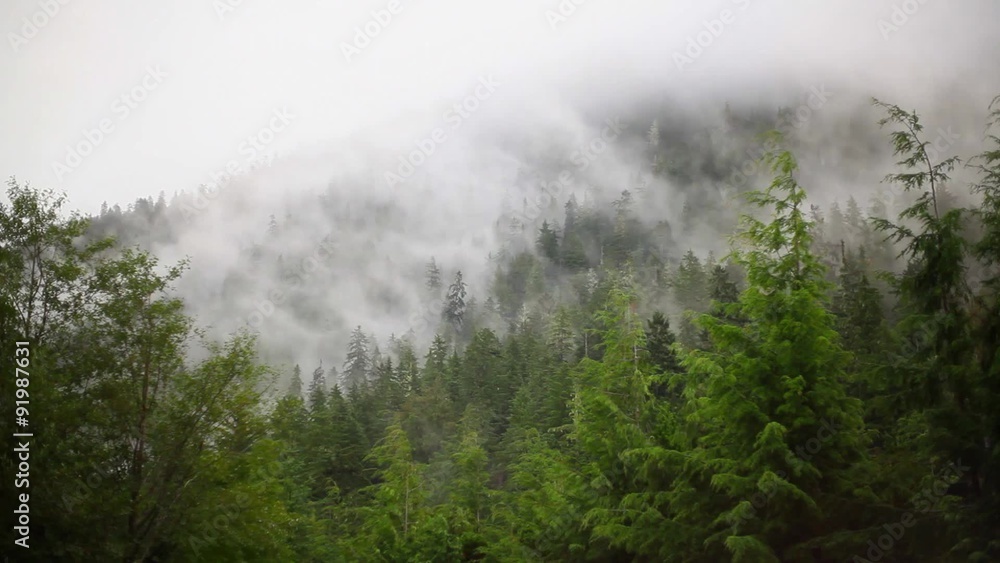 Forest and Clouds Timelapse Shot Forest and Clouds Timelapse Shot