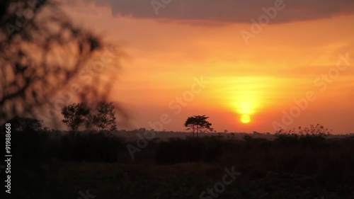 Sunset in Africa Zoom Shot
