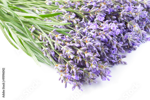 Fototapeta Naklejka Na Ścianę i Meble -  Violet lavender flowers closeup background.