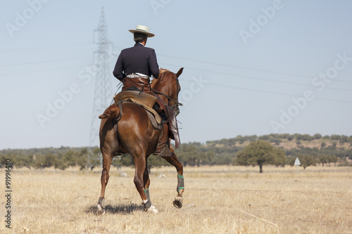 Vaquero montando a caballo. Paseo a caballo. Deporte ecuestre. Equitación deportiva.