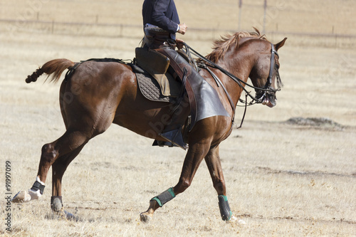 Vaquero montando a caballo. Paseo a caballo. Deporte ecuestre. Equitación deportiva. © Trepalio