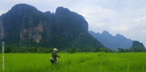 Fotografi A local Laotian man is working hard to remove the weeds from his paddy field, near the popular holiday destination of Vang Vieng, Laos