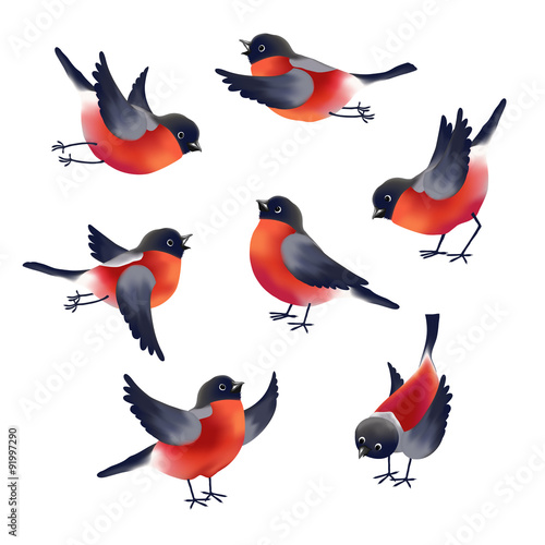 Bullfinches